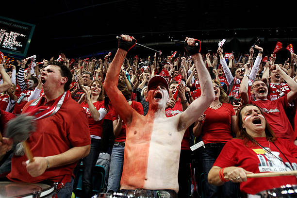 在今后的比 在今后的比